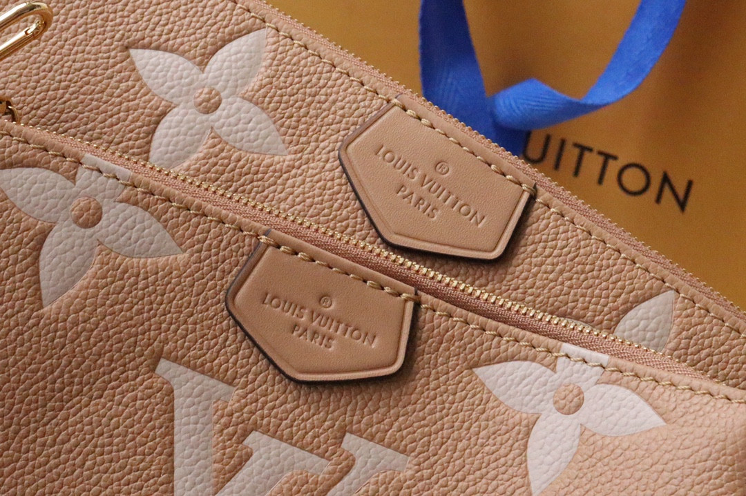 Louis Vuitton Multi Pochette Accessories Bag