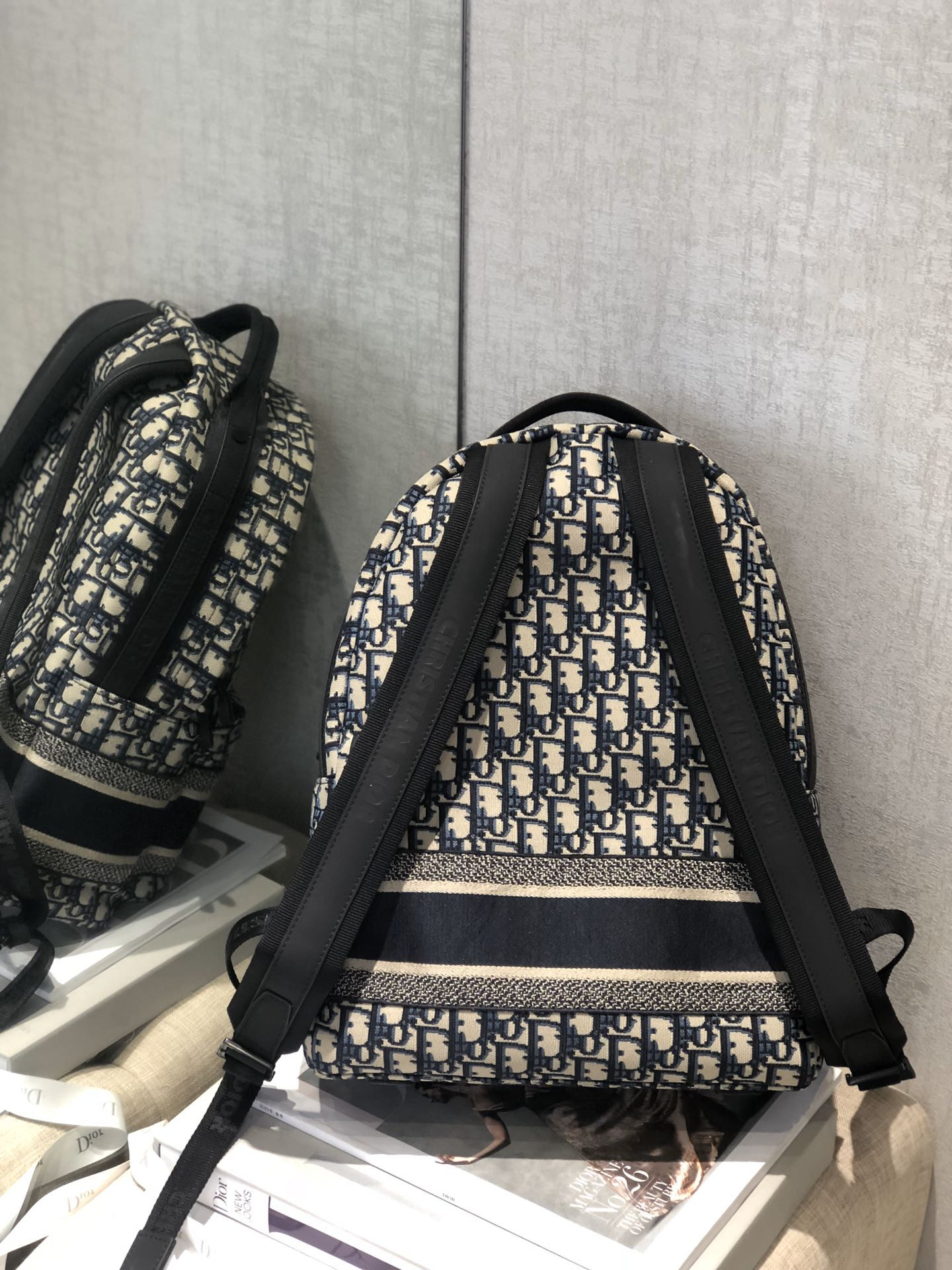 Dior Backpack