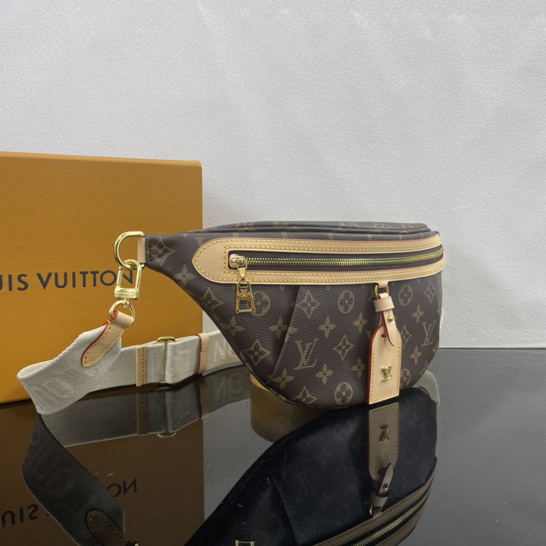 Louis Vuitton Bumbag Bag