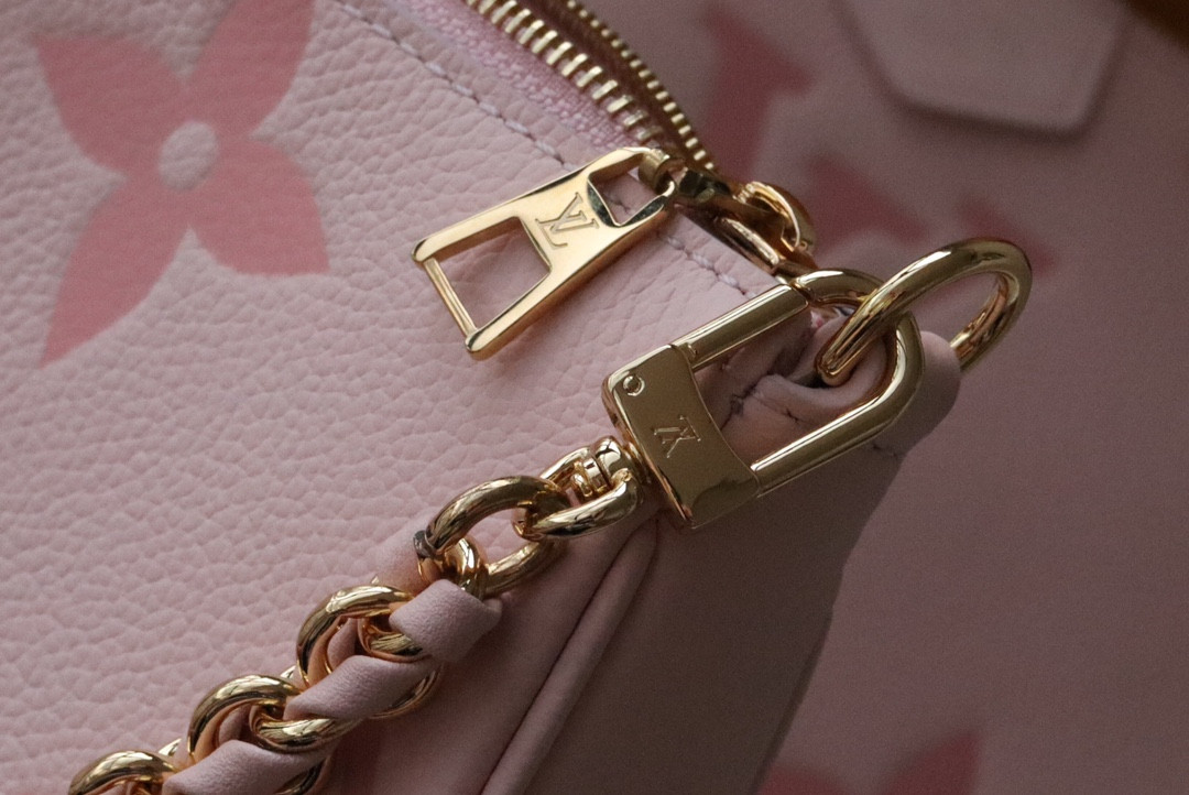 Louis Vuitton Multi Pochette Accessories Bag