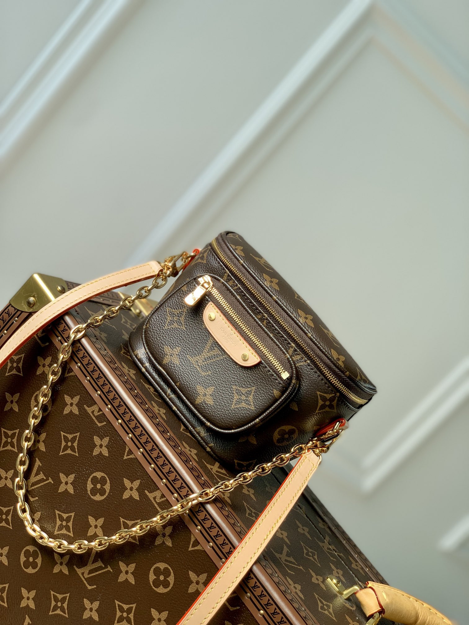 Louis Vuitton Bumbag Bag