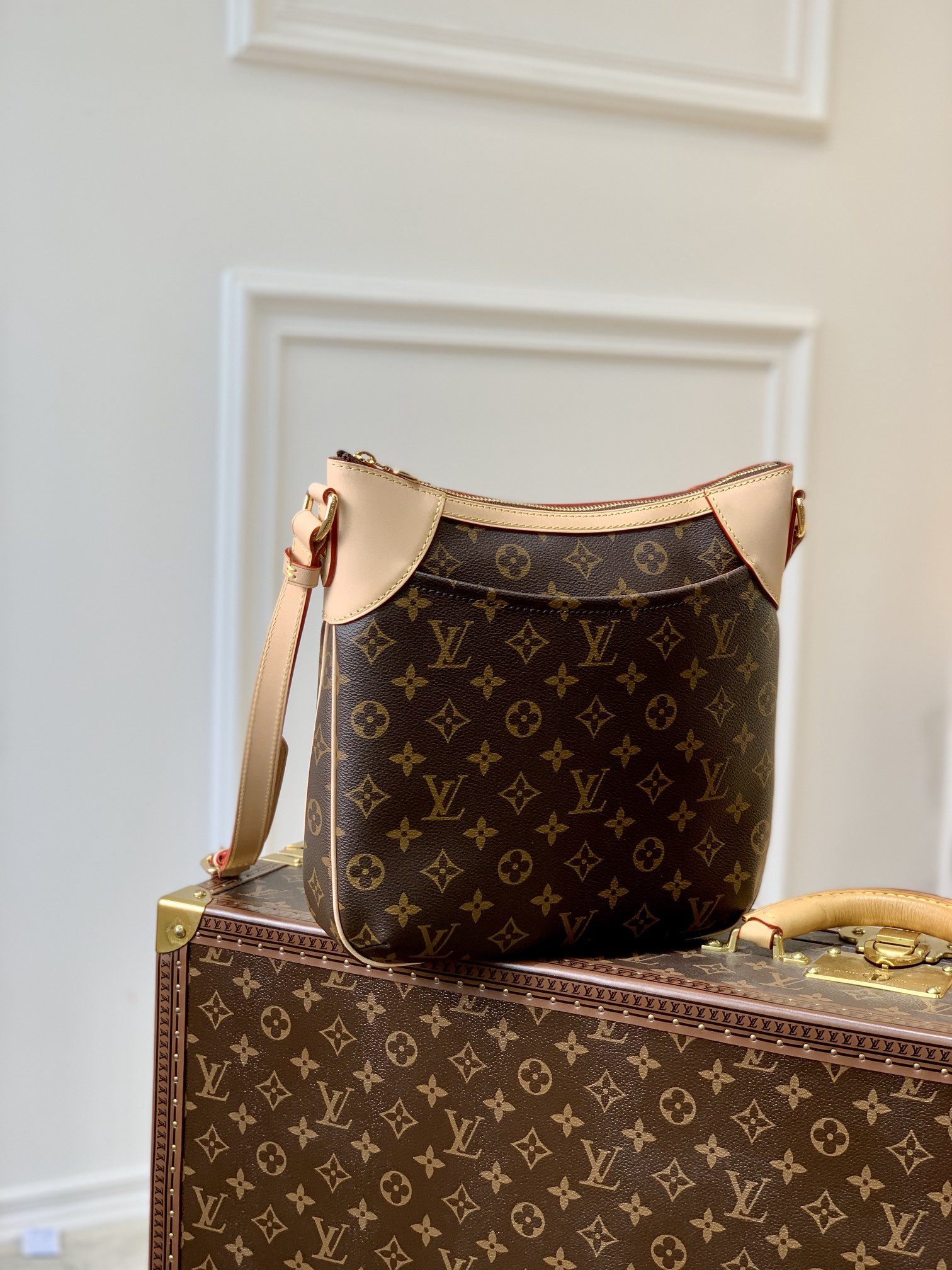 Louis Vuitton Odéon Bag
