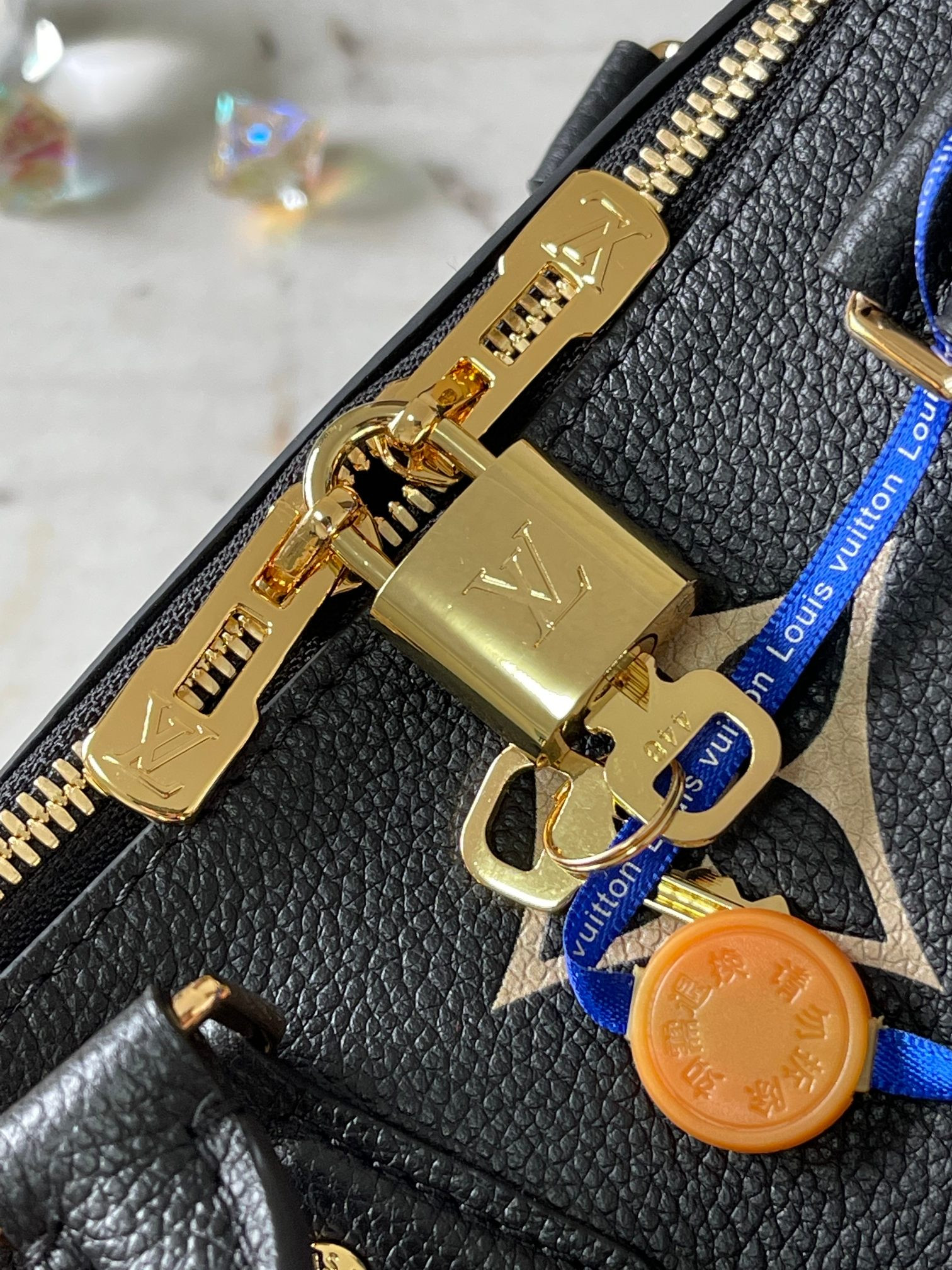 Louis Vuitton Speedy Bandoulière 25 Bag