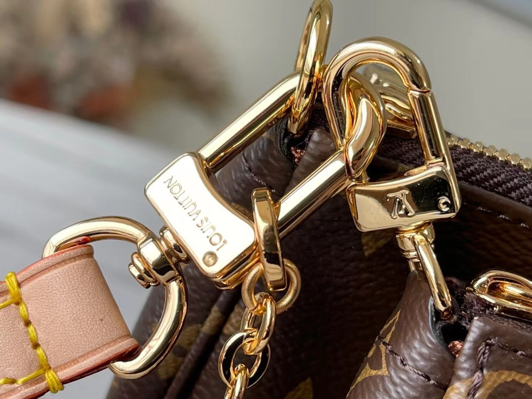 Louis Vuitton Multi Pochette Accessories Bag