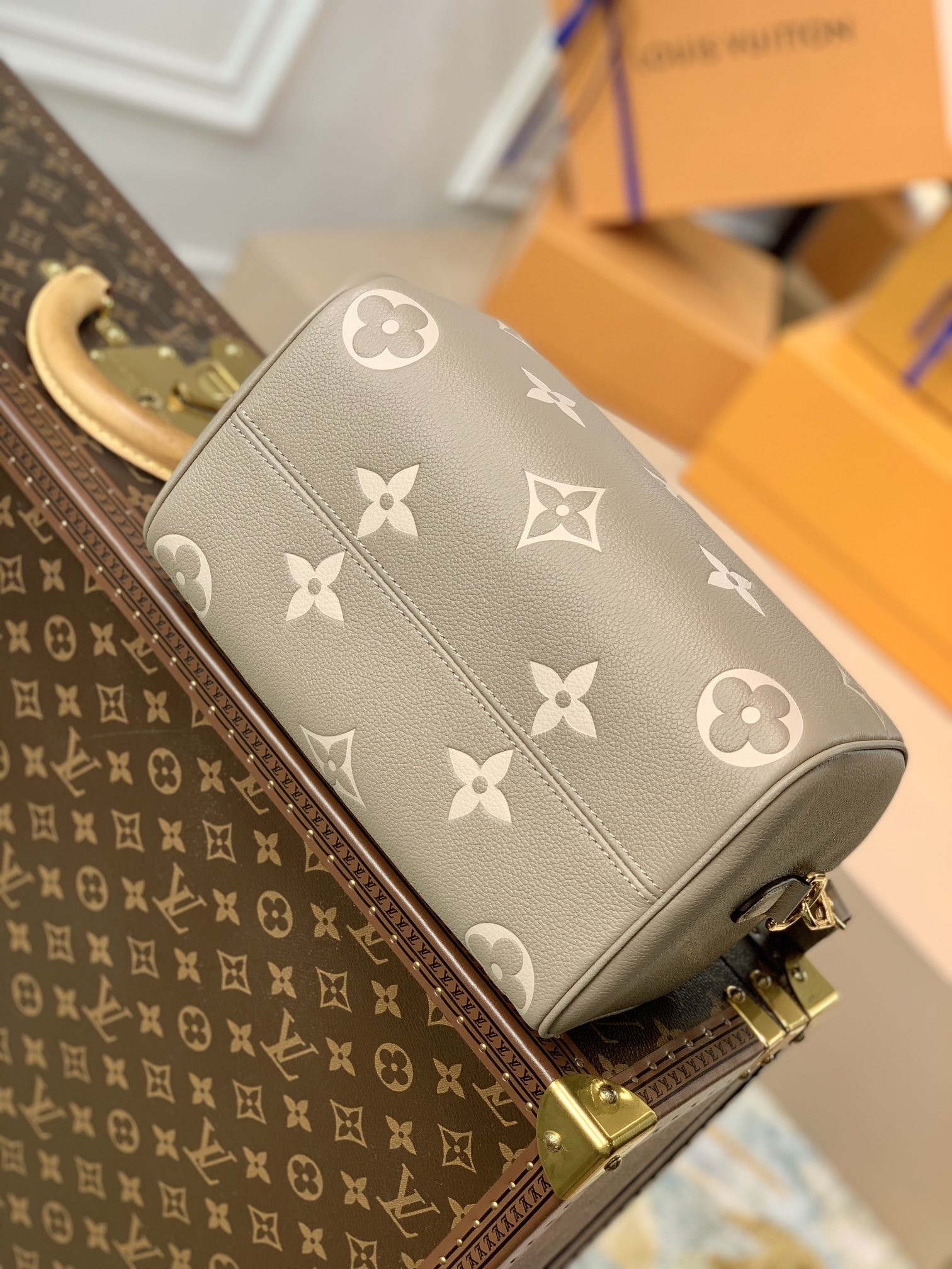 Louis Vuitton Speedy Bandoulière 25 Bag
