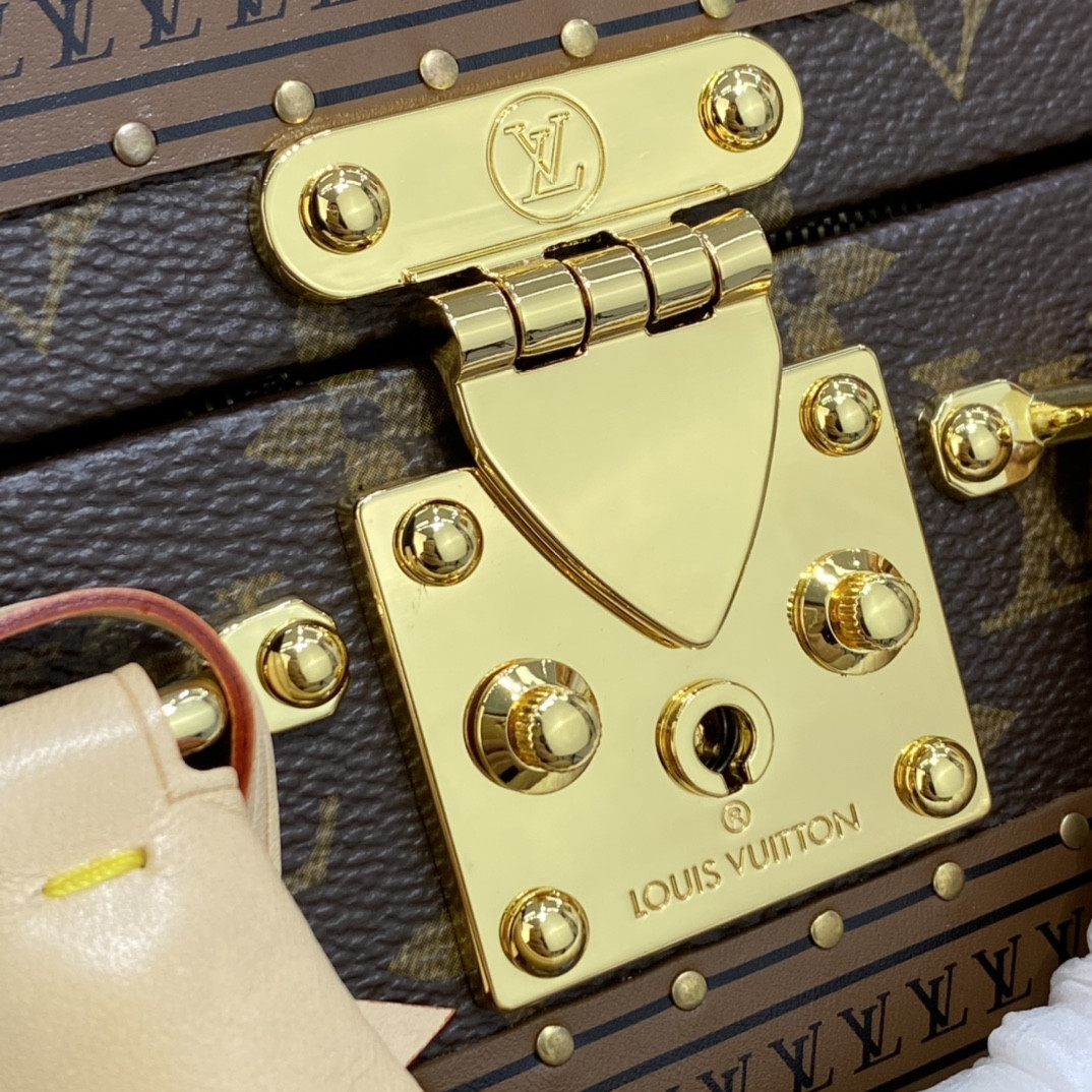 Louis Vuitton Odéon Bag