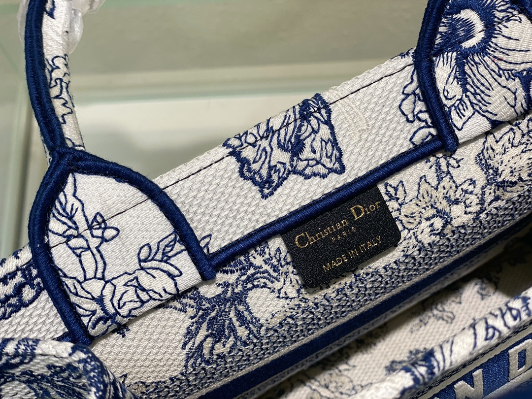 Small Dior Book Tote