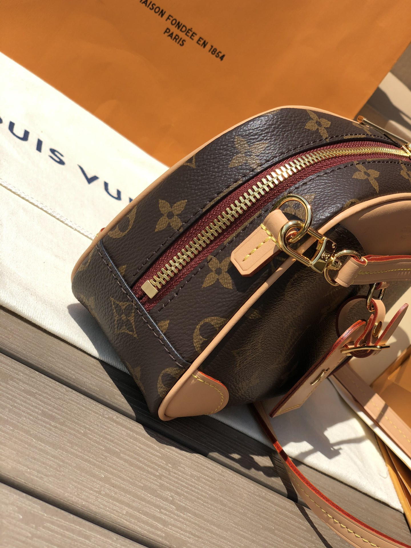 Louis Vuitton Hobo Dauphine Bag