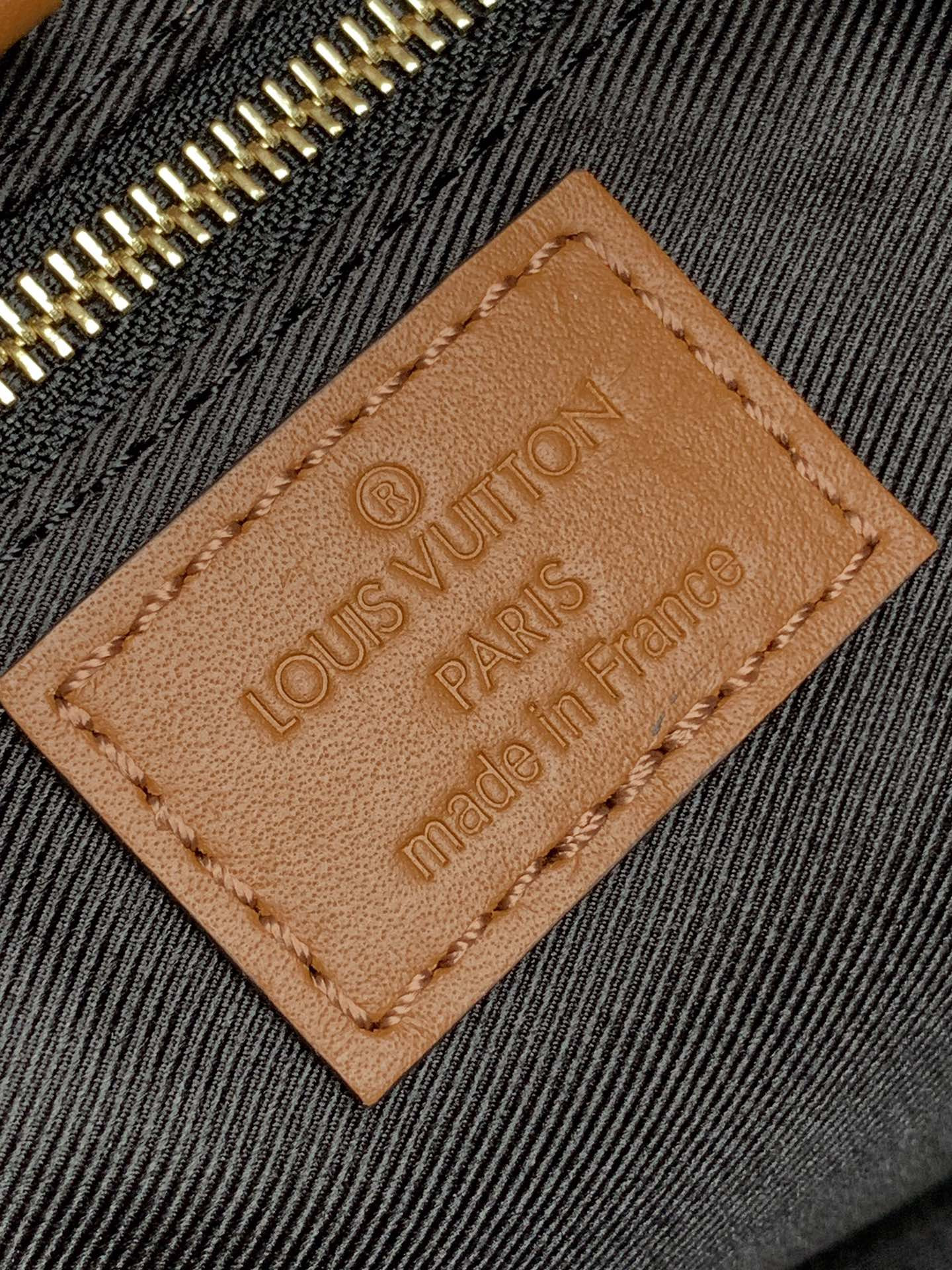 Louis Vuitton Hobo Dauphine Bag