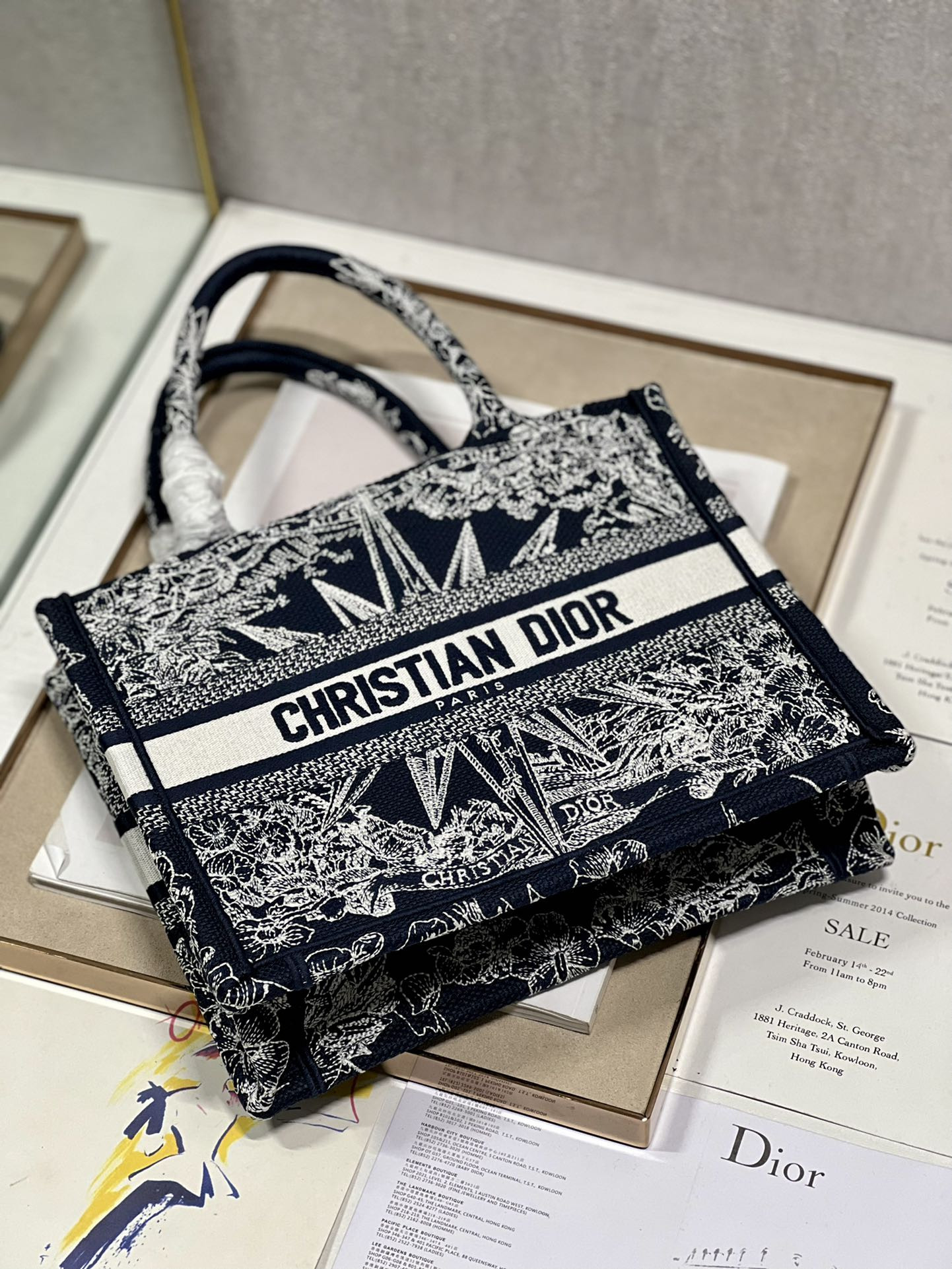 Small Dior Book Tote