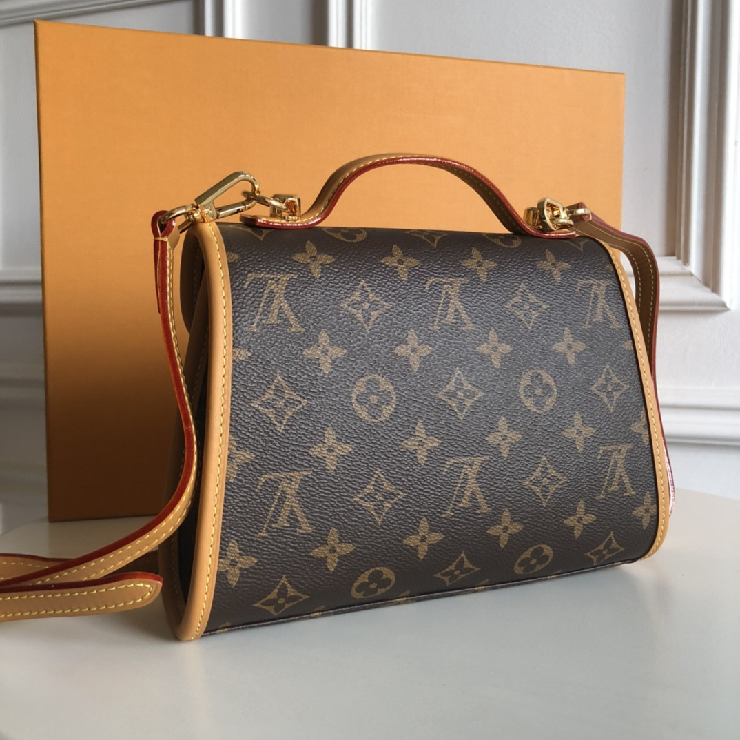Louis Vuitton Lvy Bag