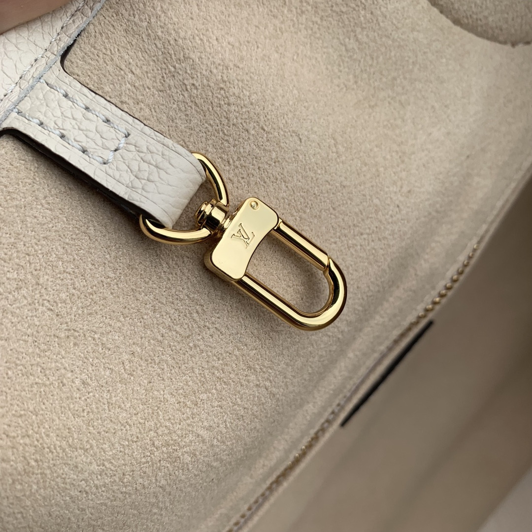 Louis Vuitton Neverfull Bag