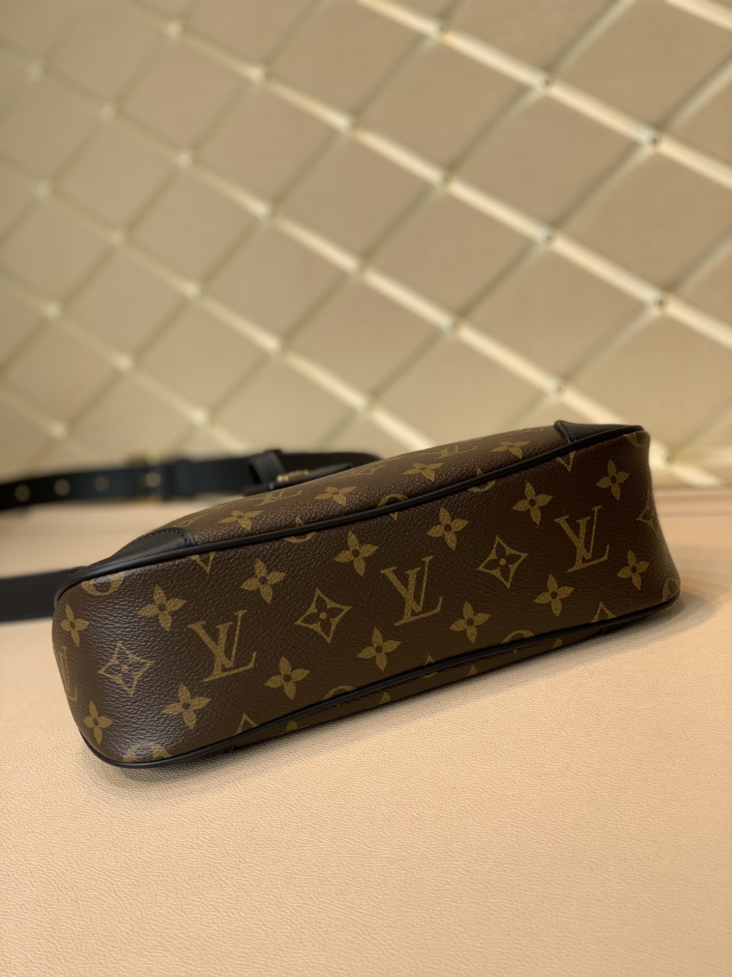 Louis Vuitton Odéon Bag