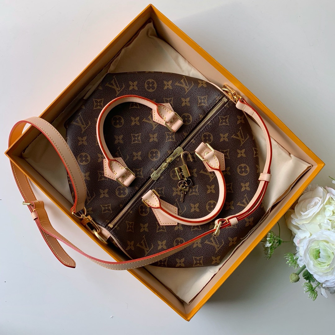 Louis Vuitton Speedy Bandoulière Bag