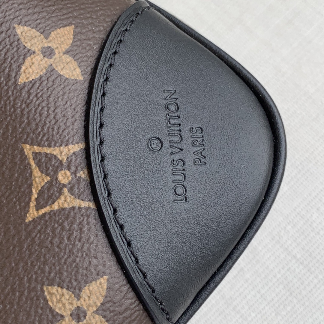 Louis Vuitton Odéon Bag