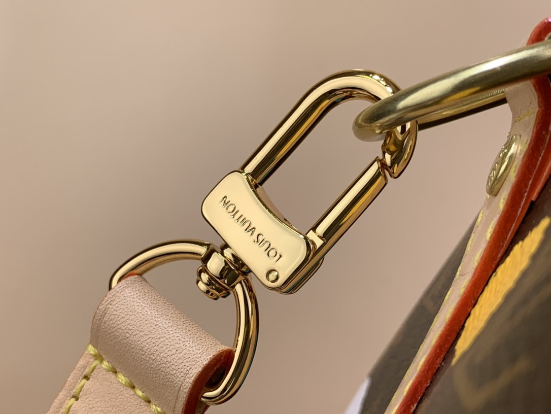 Louis Vuitton Speedy Bandoulière 25 Bag