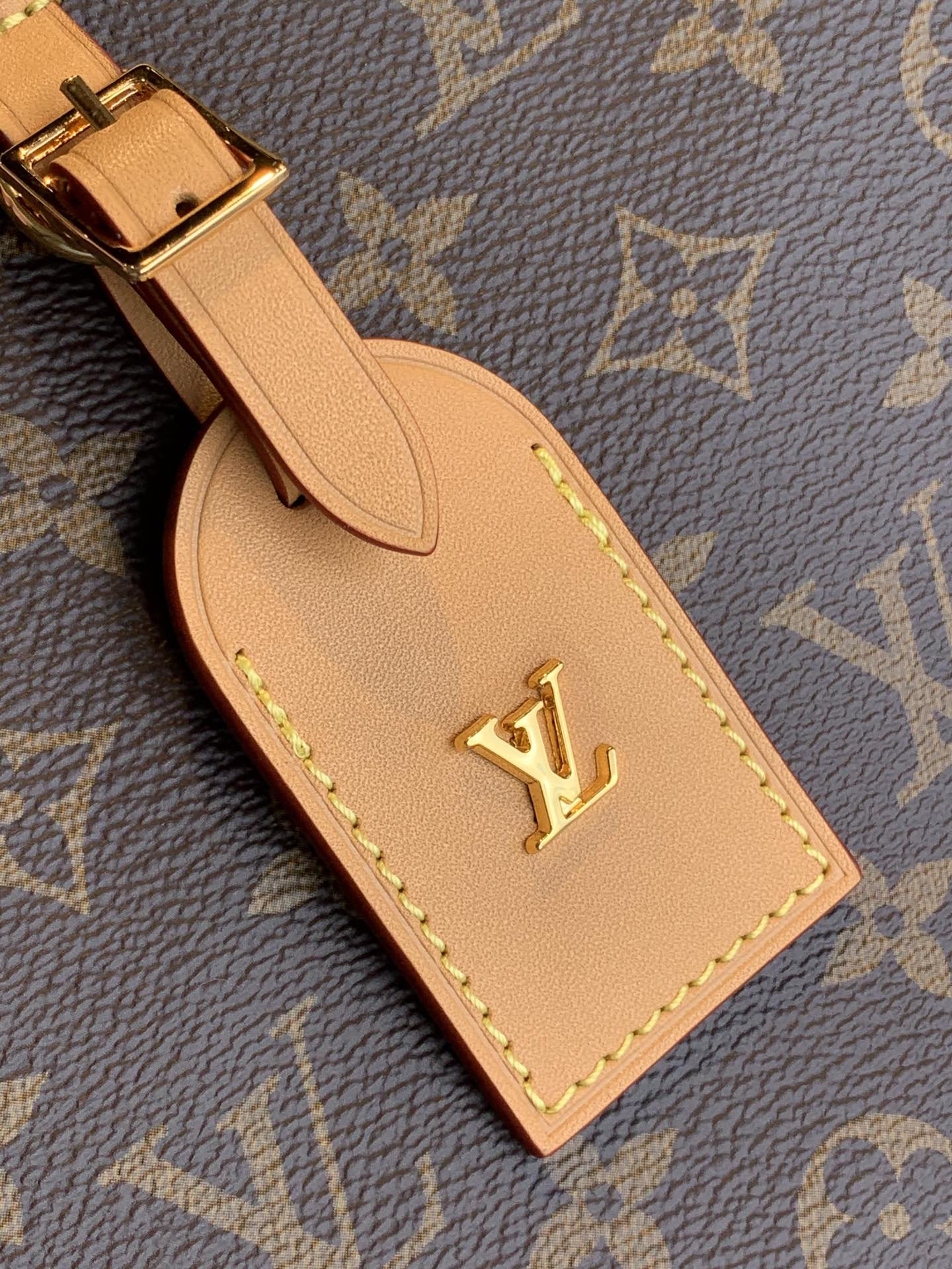Louis Vuitton Odéon Bag