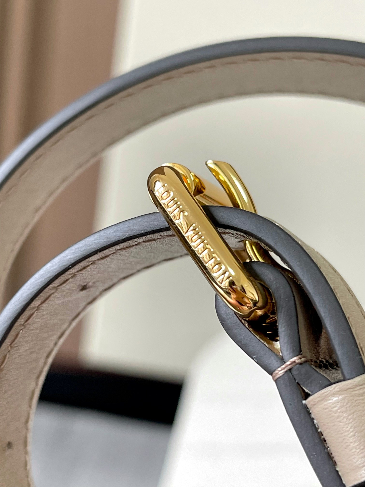 Louis Vuitton Speedy Bandoulière 25 Bag