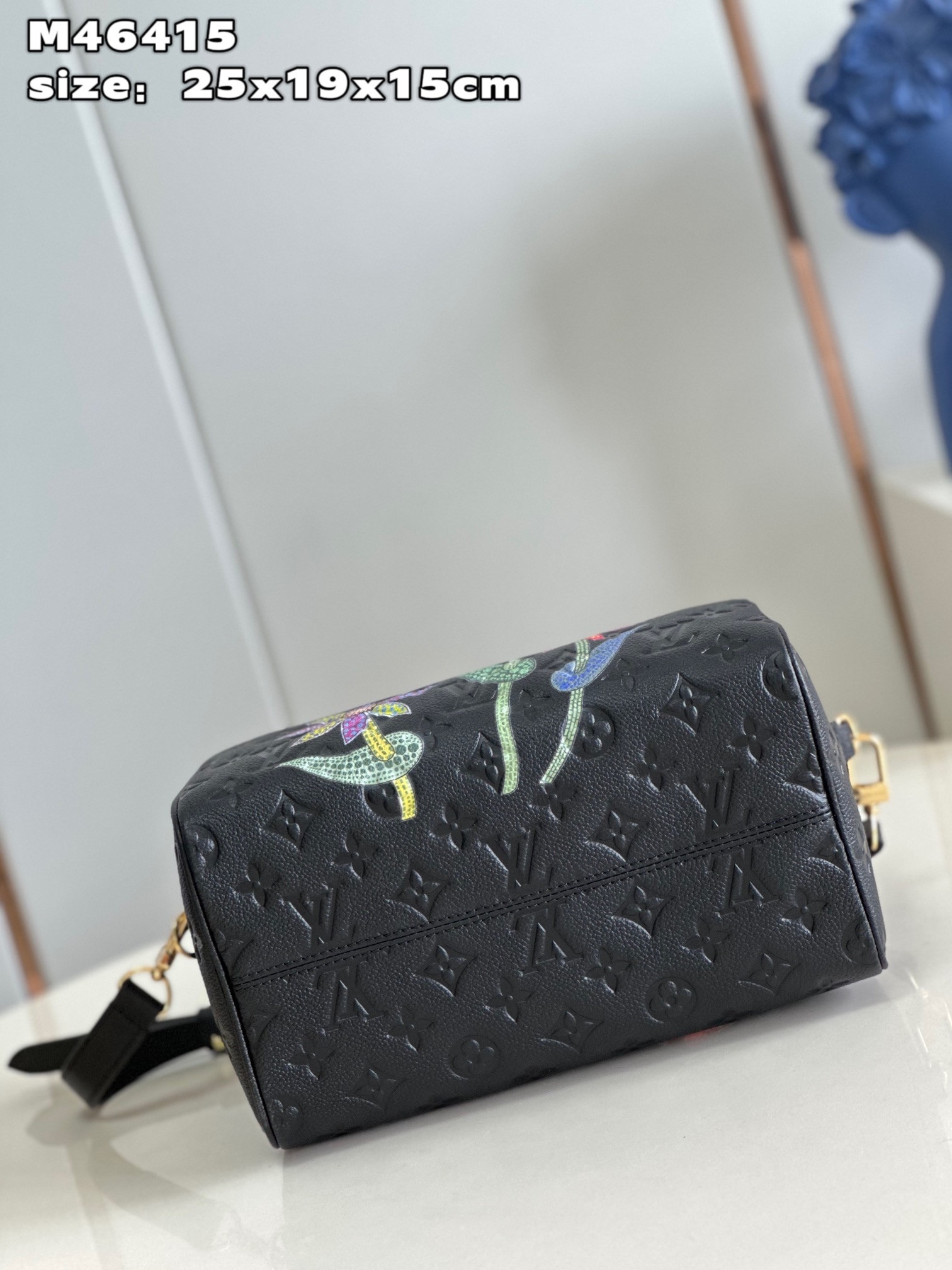 Louis Vuitton Speedy Bandoulière 25 Bag