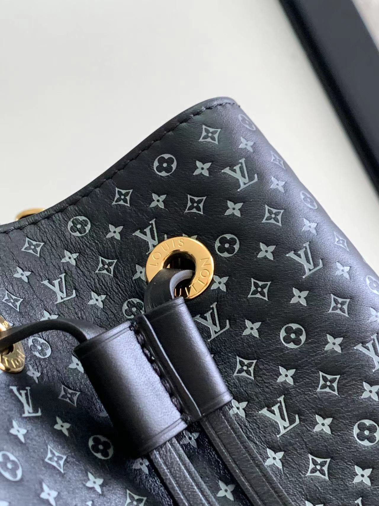 Louis Vuitton Néonoé Bag