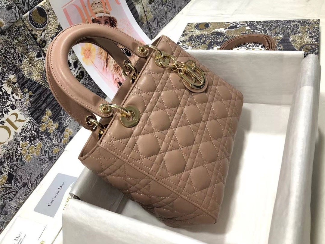 Medium Lady Dior Bag