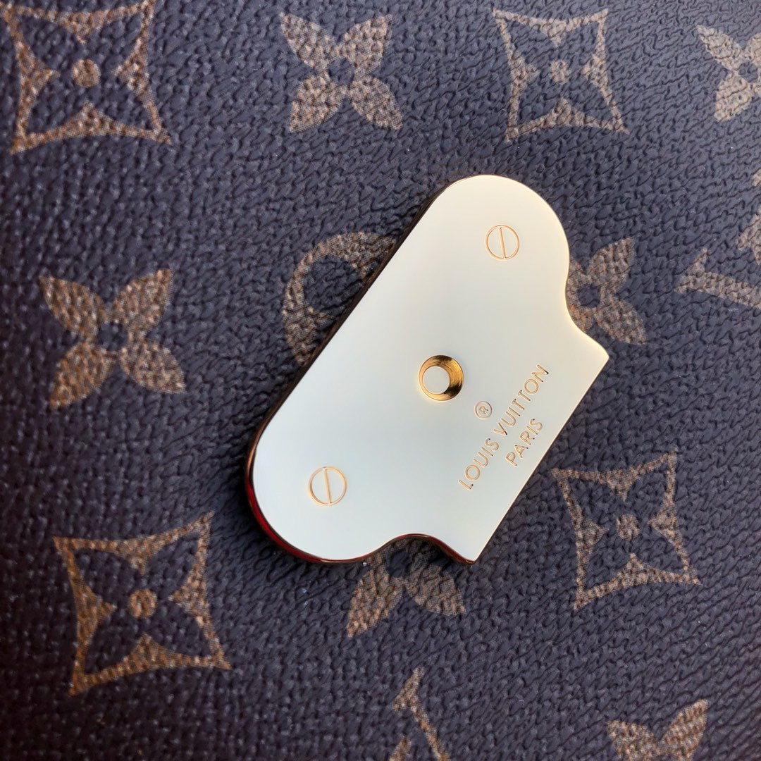 Louis Vuitton Saint Placide Chain Bag