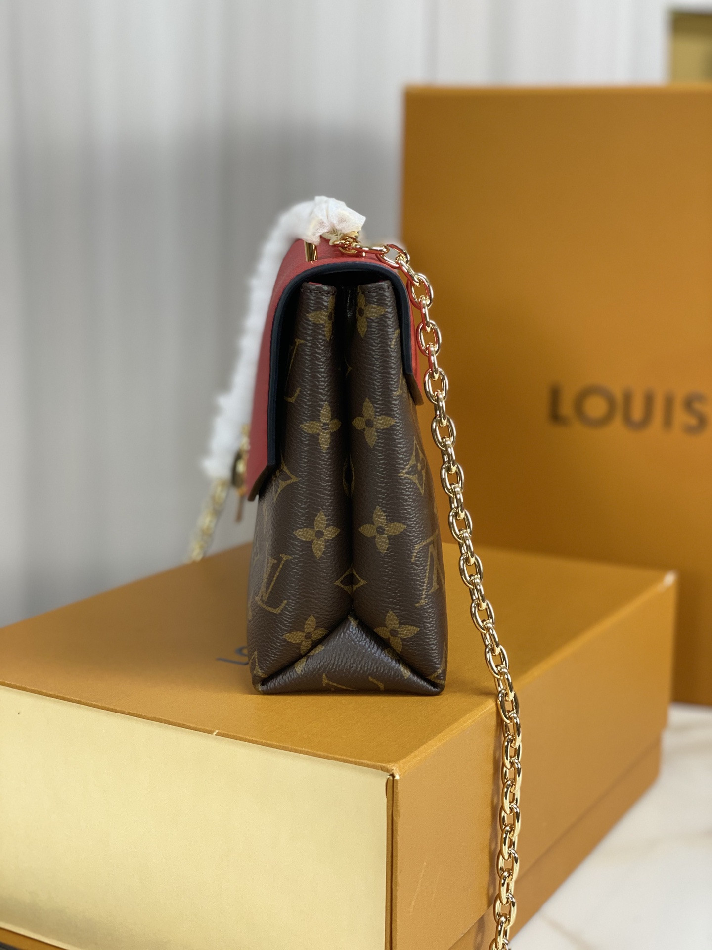 Louis Vuitton Saint Placide Chain Bag
