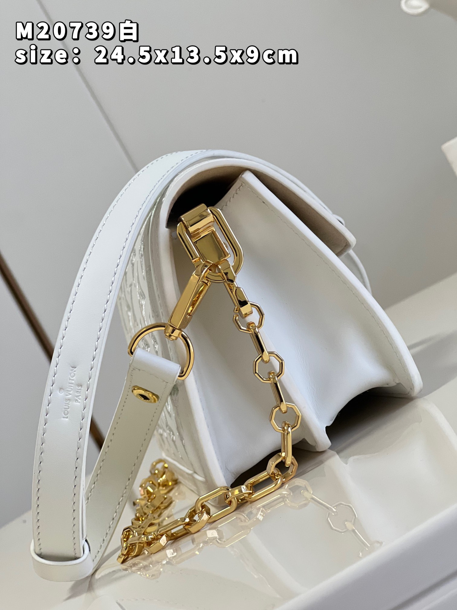 Louis Vuitton Dauphine Bag