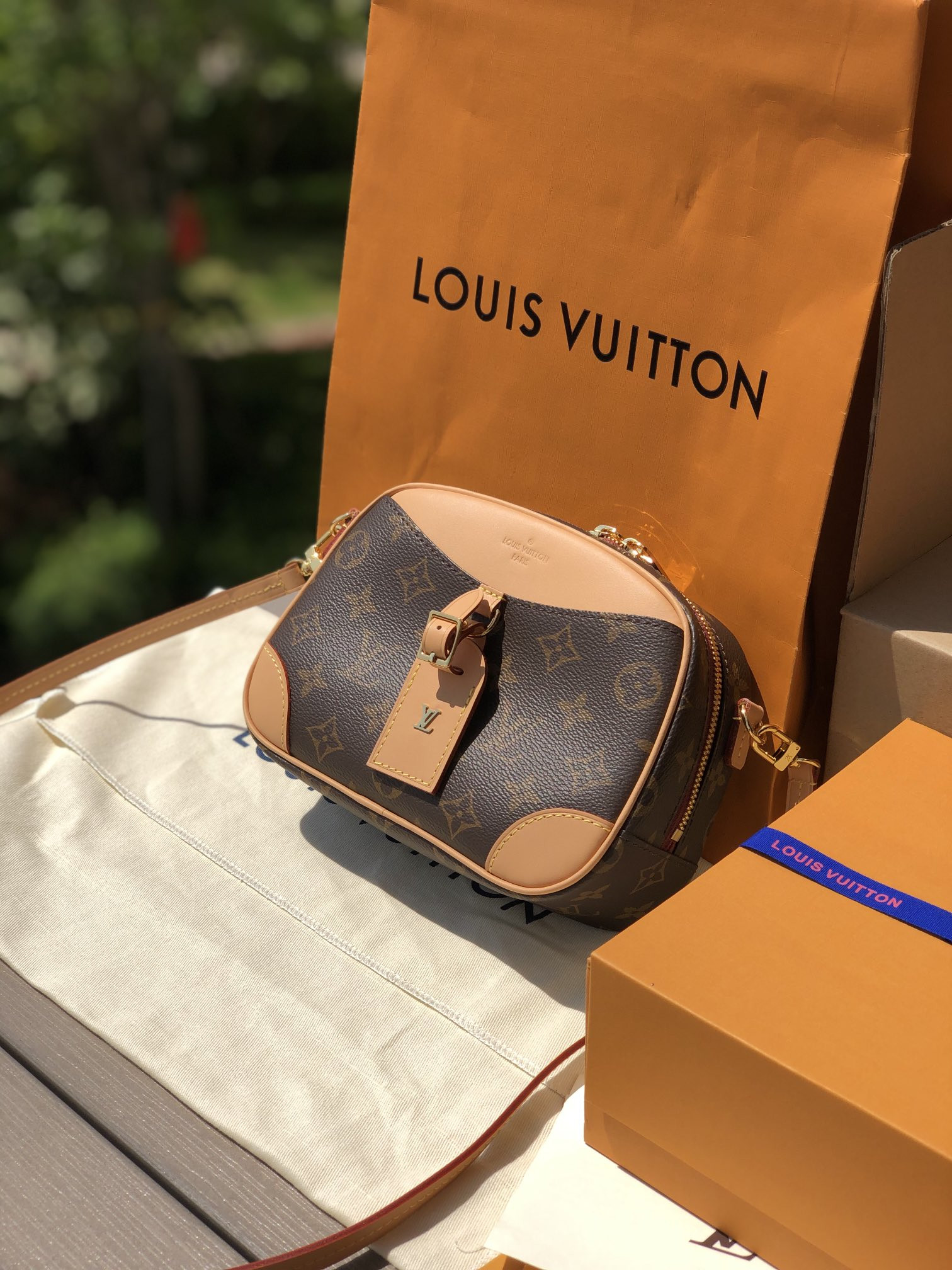 Louis Vuitton Hobo Dauphine Bag