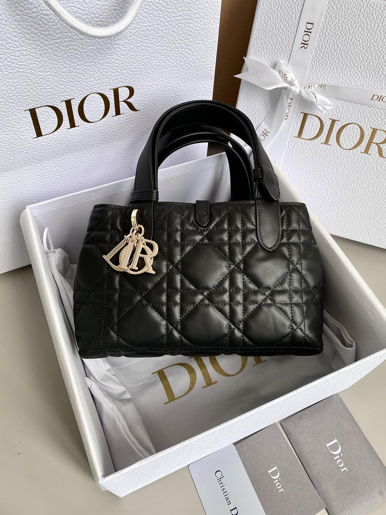 Dior Toujours Bag