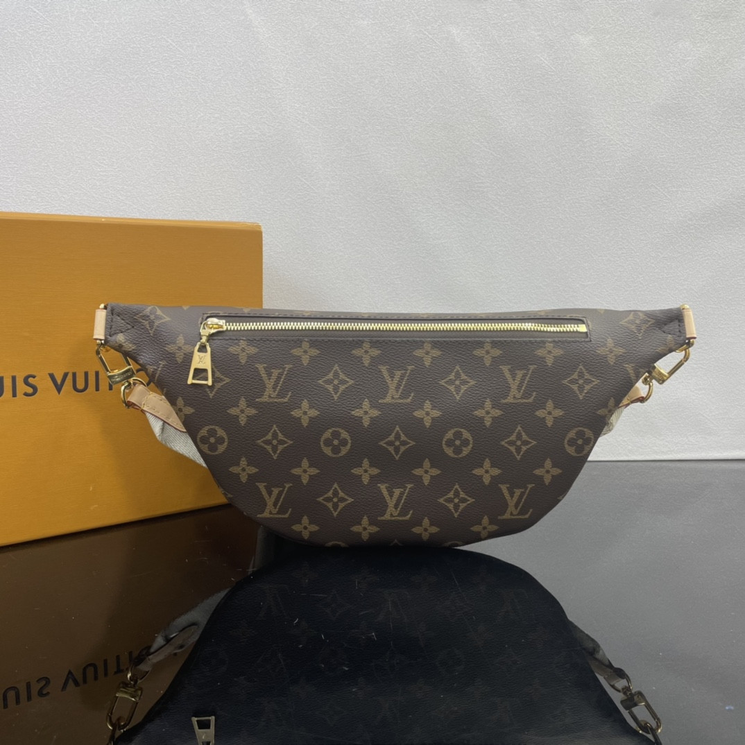 Louis Vuitton Bumbag Bag