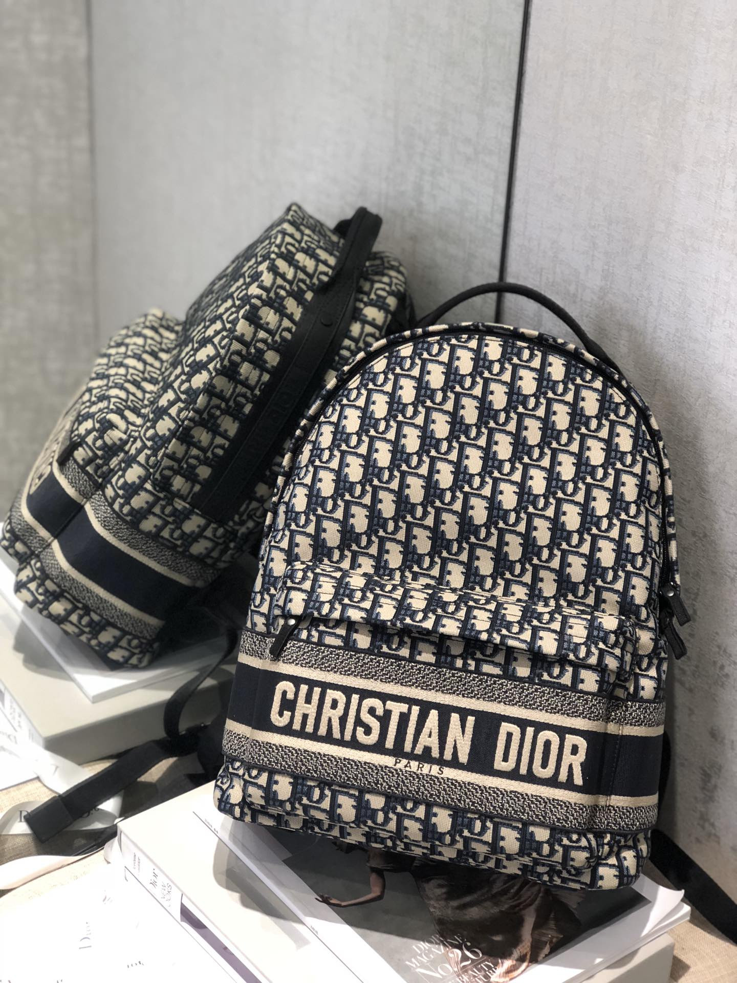 Dior Backpack