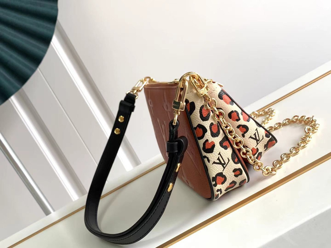 Louis Vuitton Multi Pochette Accessories Bag
