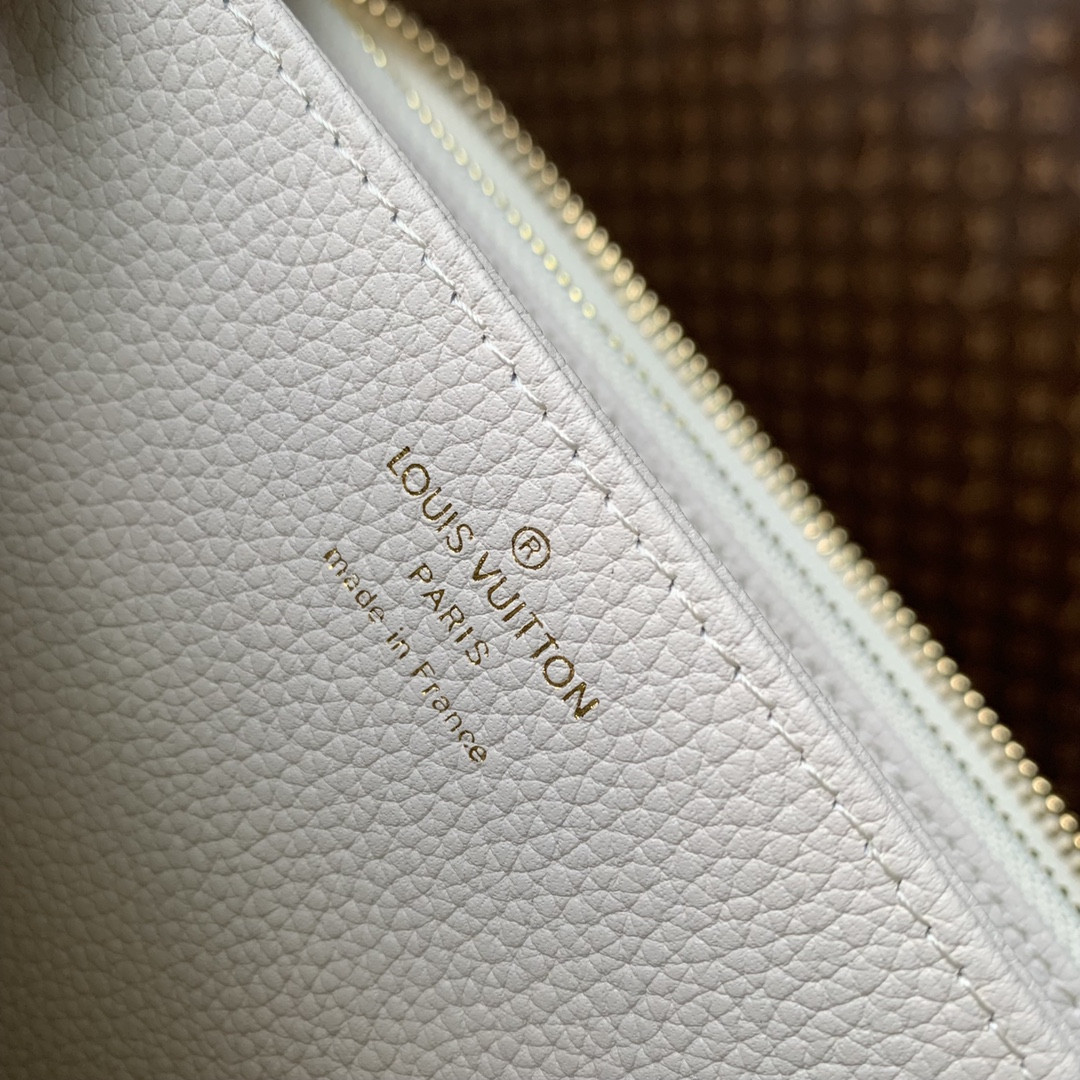 Louis Vuitton Zippy Wallet Bag