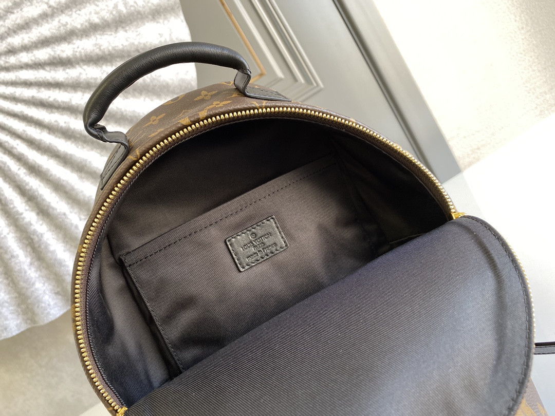 Louis Vuitton Palm Springs Bag