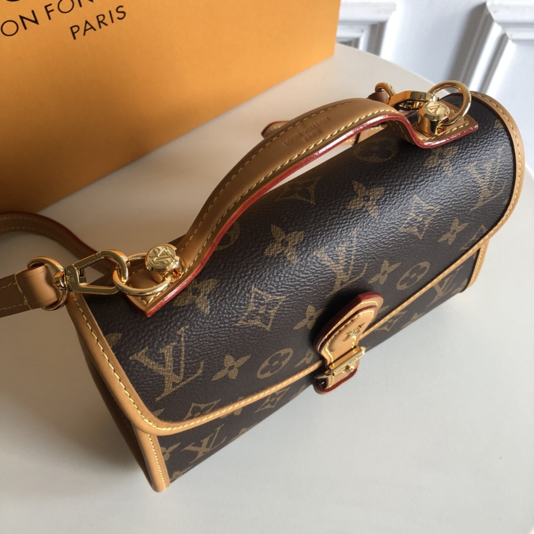 Louis Vuitton Lvy Bag