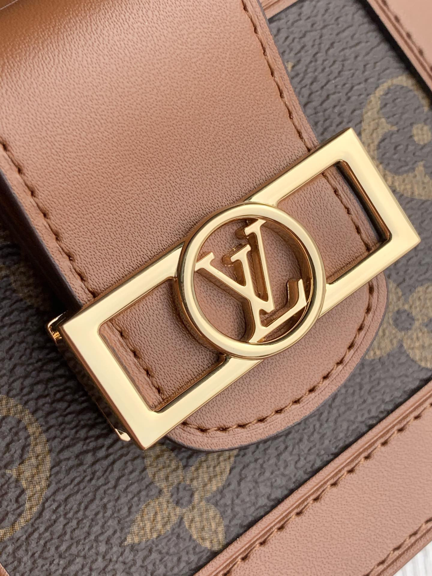 Louis Vuitton Dauphine Multicates Bag