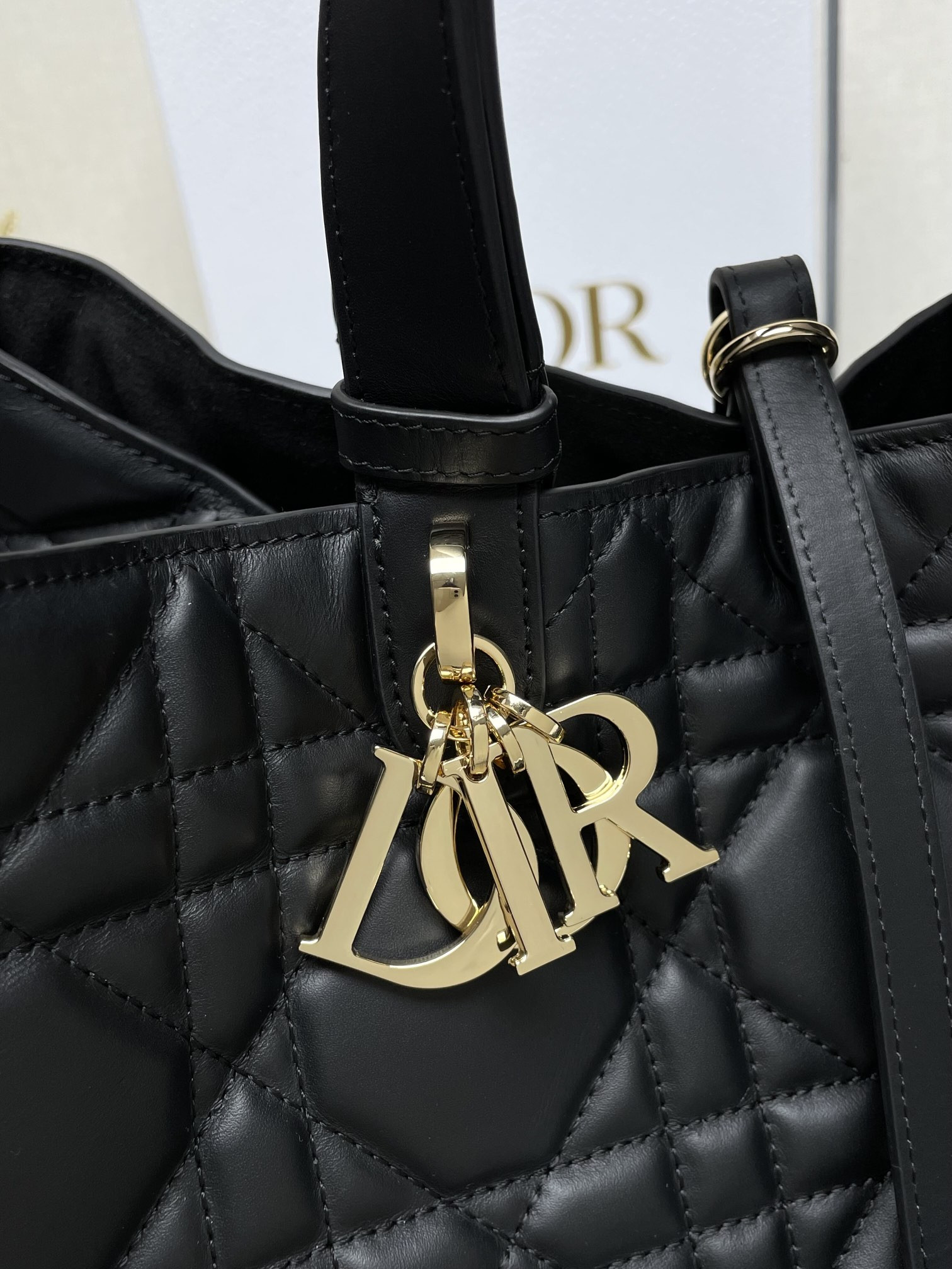 Dior Toujours Bag
