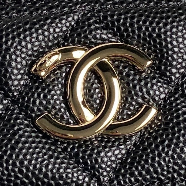 Chanel 25c Cosmetic Bag
