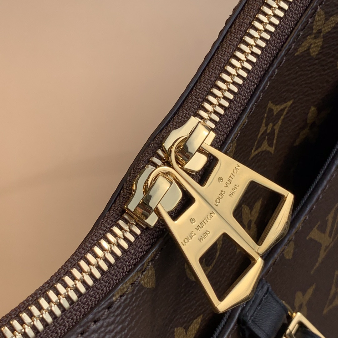 Louis Vuitton Odéon Bag