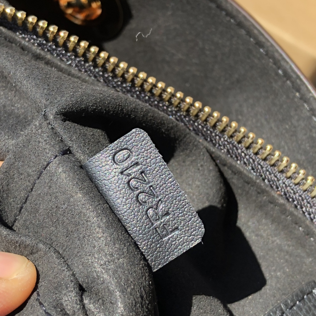 Louis Vuitton Surene Bag