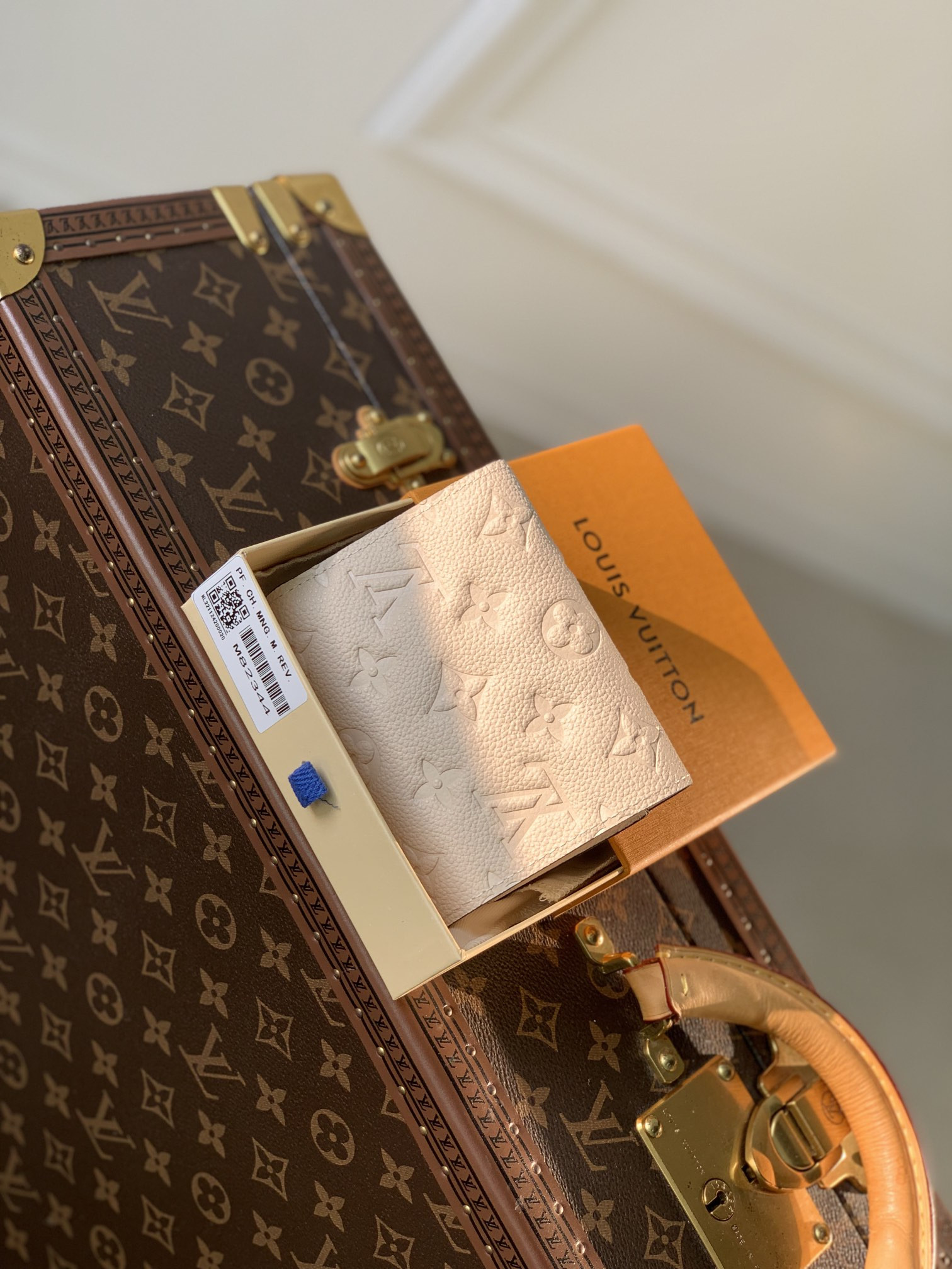 Louis Vuitton Victorine Bag
