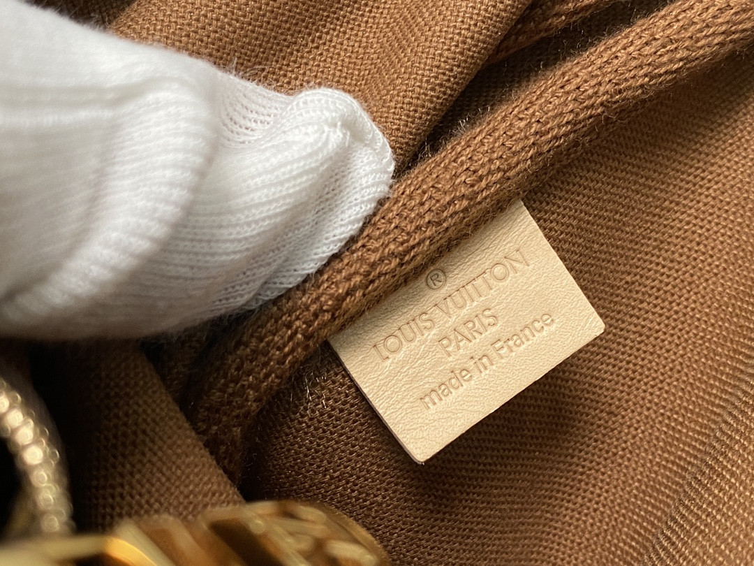 Louis Vuitton Multi Pochette Accessories Bag