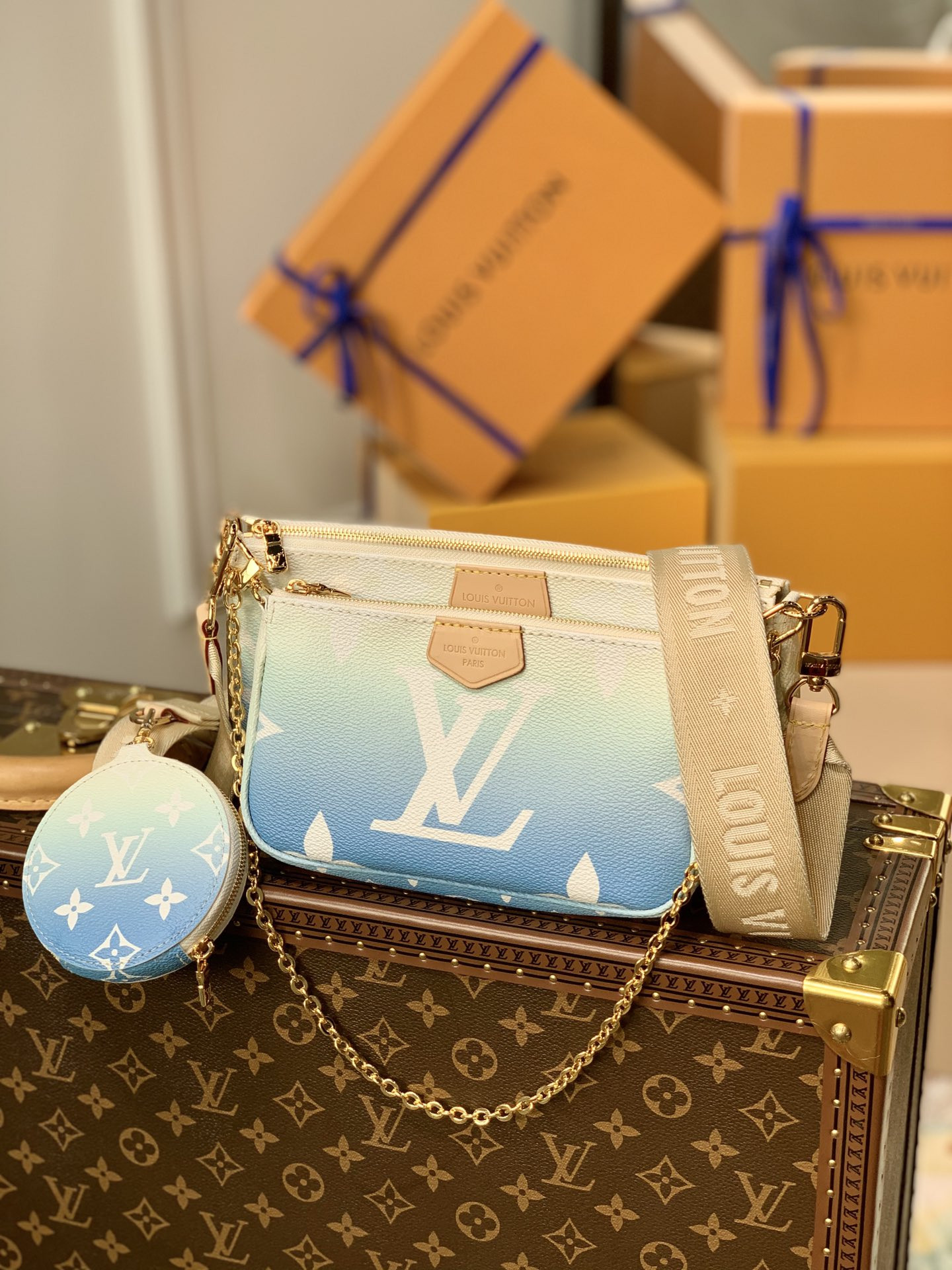 Louis Vuitton Multi Pochette Accessories Bag