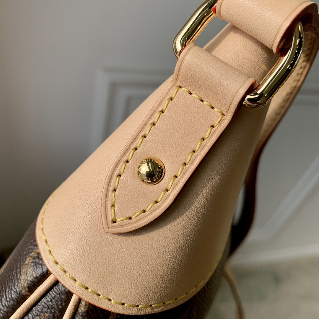 Louis Vuitton Odéon Bag