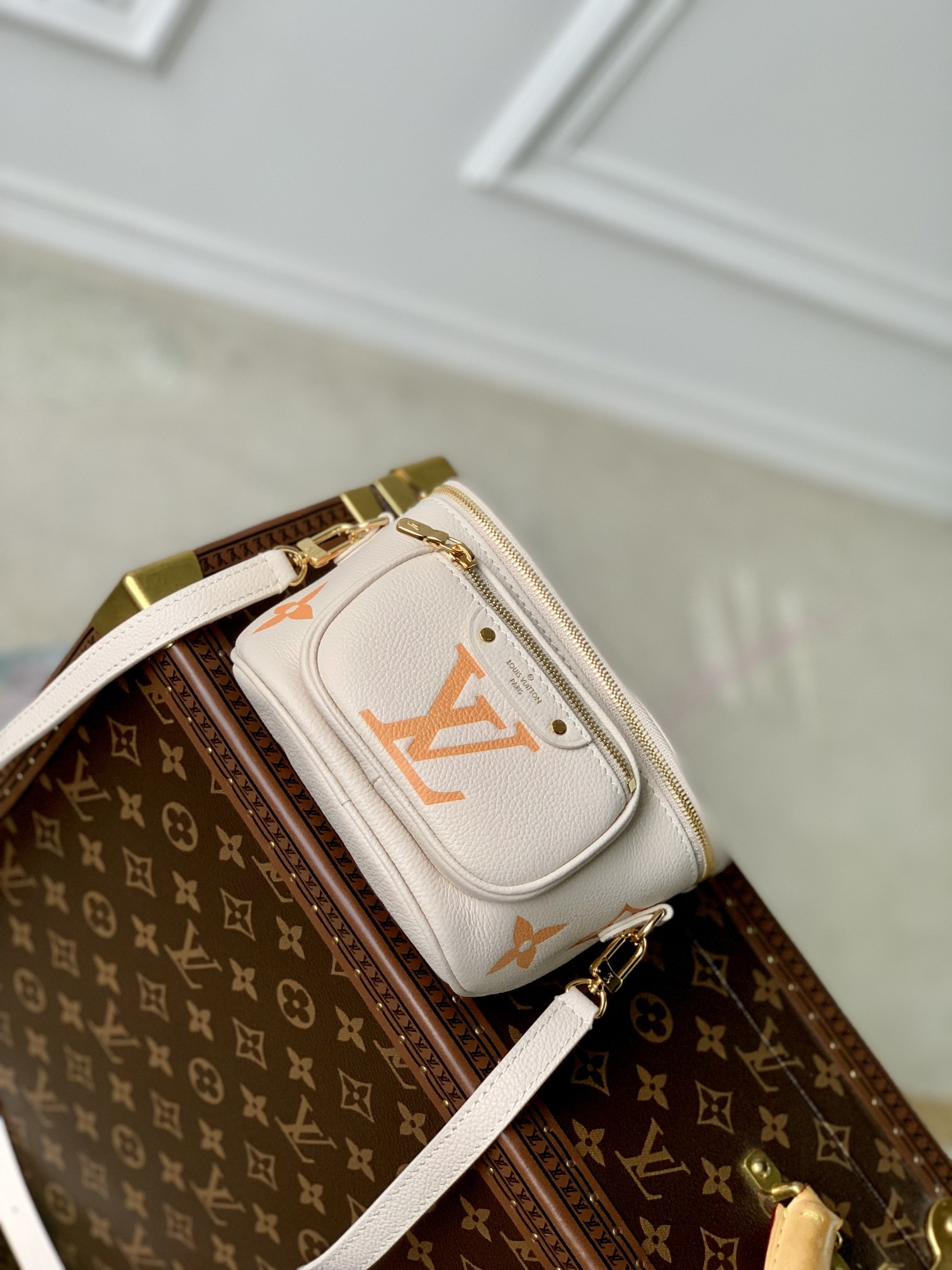 Louis Vuitton Bumbag Bag