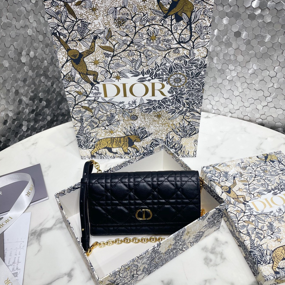 Dior Caro Pouch