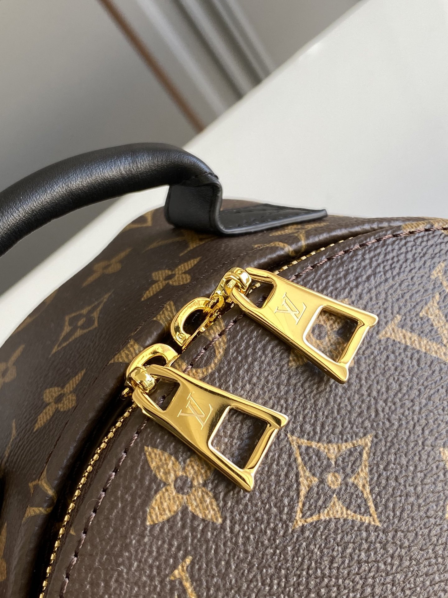 Louis Vuitton Palm Springs Bag