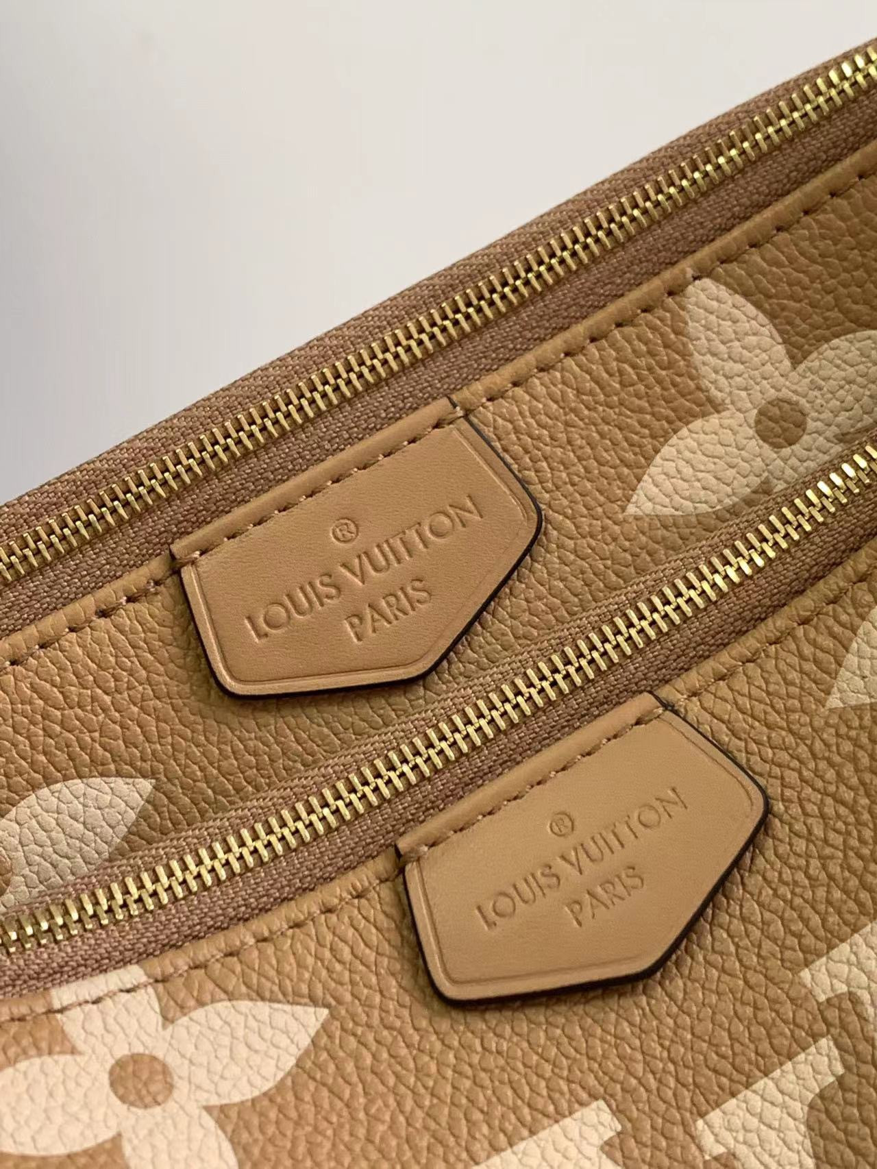 Louis Vuitton Multi Pochette Accessories Bag