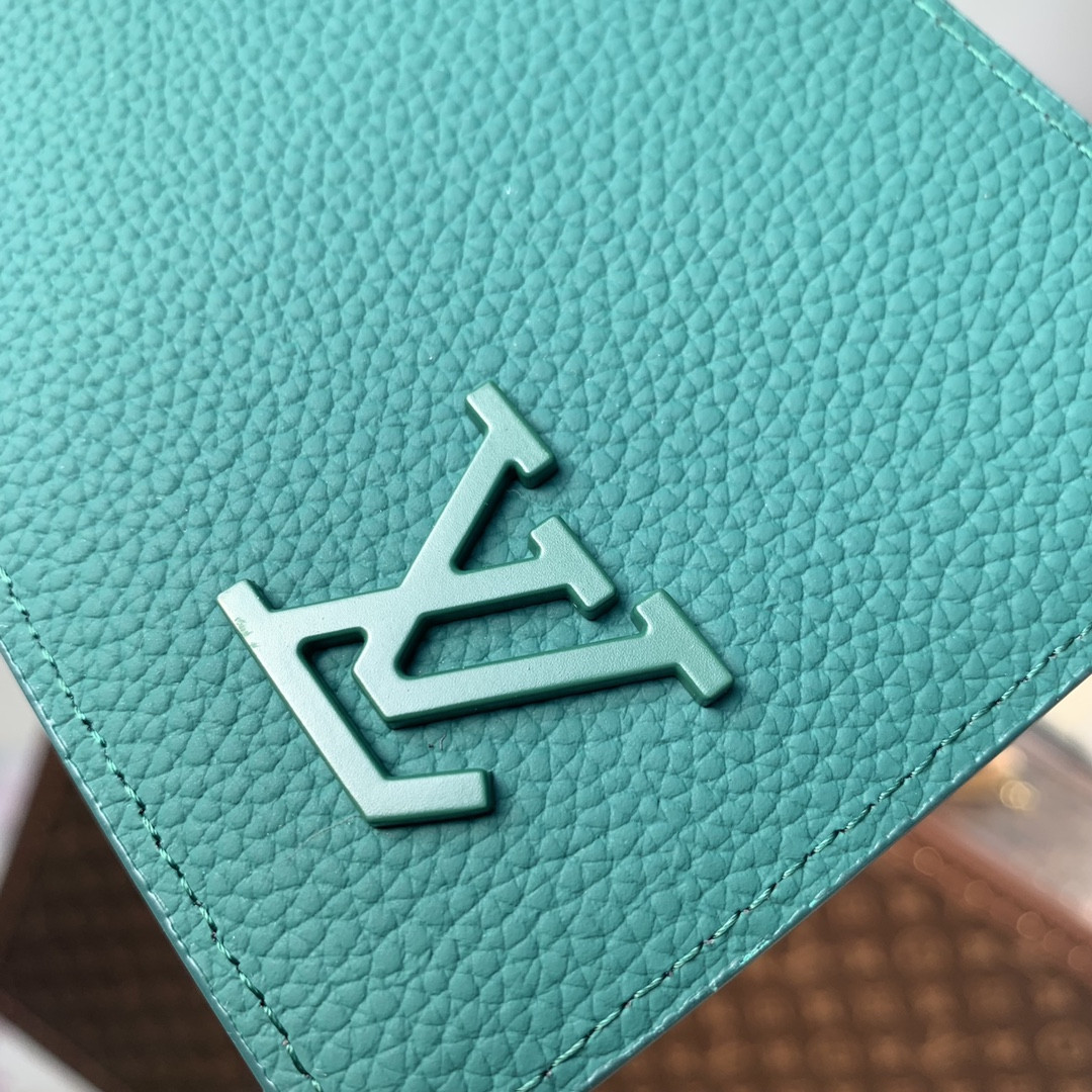 Louis Vuitton Cléa Bag